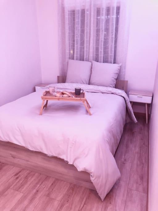Superbe Appartement Tout Equipe, Le Nid D'Eva A Metz Gare, Parking Prive, Balcon, F2, 50M2, 3P Ngoại thất bức ảnh