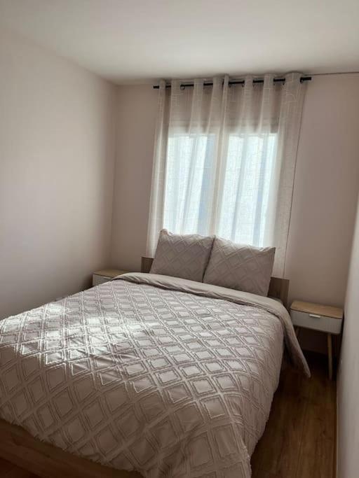 Superbe Appartement Tout Equipe, Le Nid D'Eva A Metz Gare, Parking Prive, Balcon, F2, 50M2, 3P Ngoại thất bức ảnh